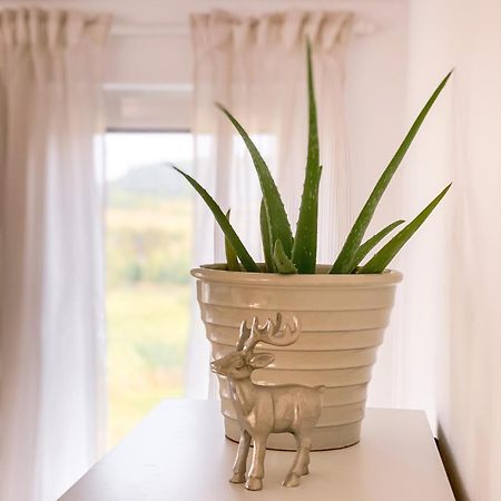 Ferienwohnung Eifelglueck Kruchten Екстер'єр фото